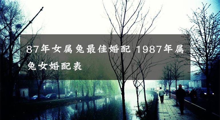 87年女属兔最佳婚配 1987年属兔女婚配表