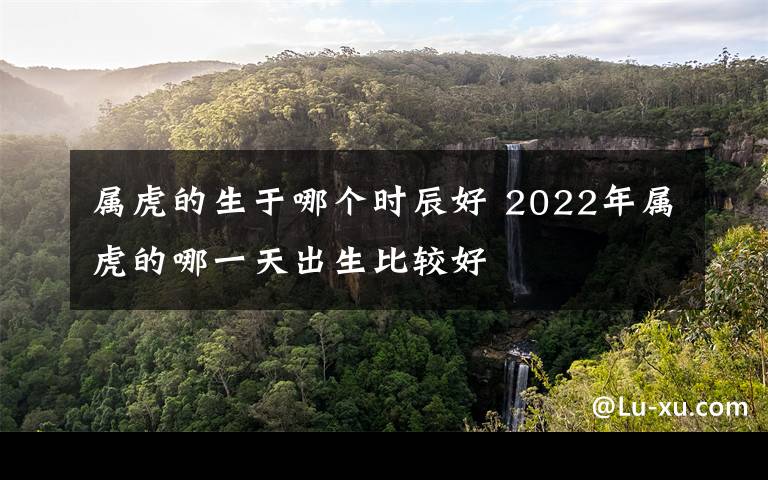 属虎的生于哪个时辰好 2022年属虎的哪一天出生比较好