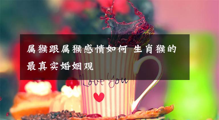 属猴跟属猴感情如何 生肖猴的最真实婚姻观