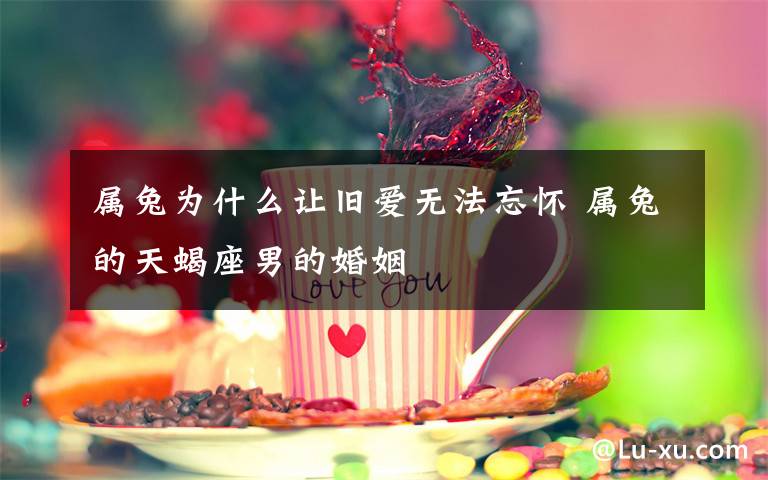 属兔为什么让旧爱无法忘怀 属兔的天蝎座男的婚姻