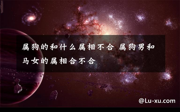 属狗的和什么属相不合 属狗男和马女的属相合不合