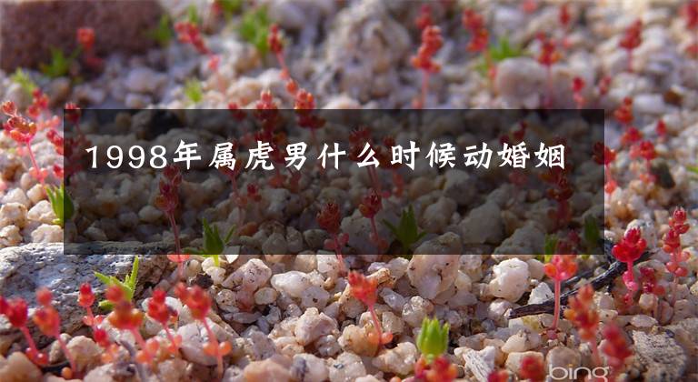 1998年属虎男什么时候动婚姻