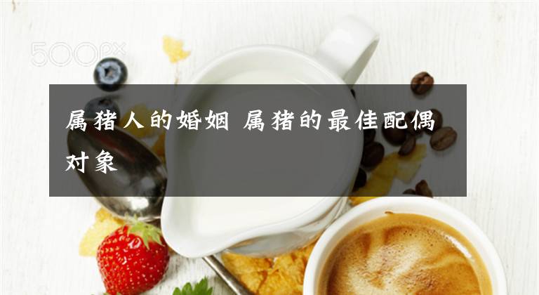 属猪人的婚姻 属猪的最佳配偶对象