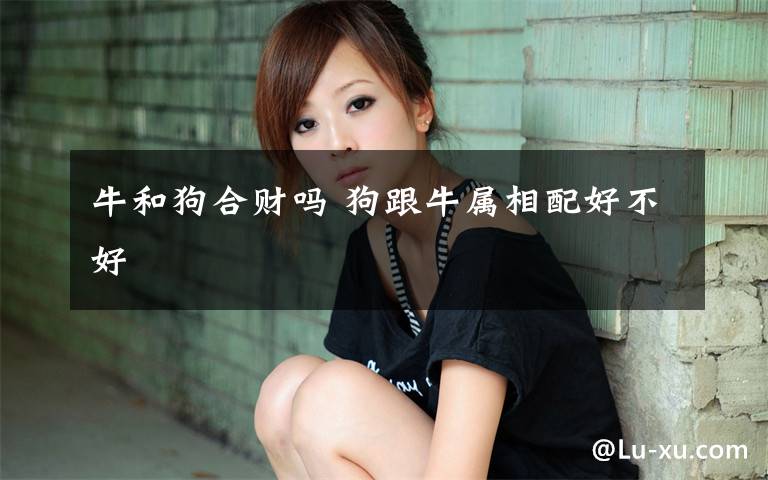 牛和狗合财吗 狗跟牛属相配好不好