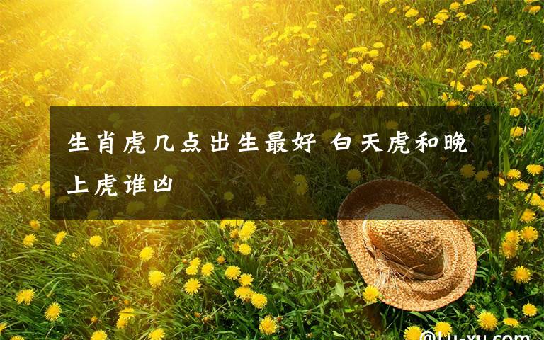 生肖虎几点出生最好 白天虎和晚上虎谁凶