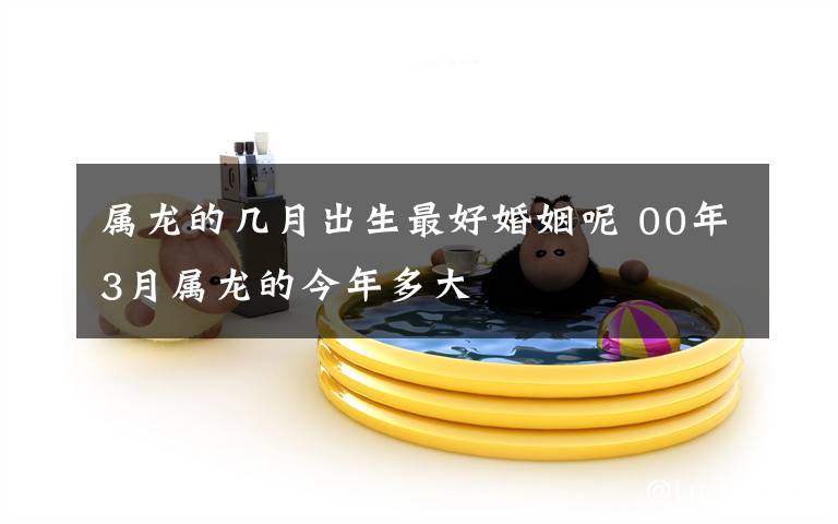 属龙的几月出生最好婚姻呢 00年3月属龙的今年多大