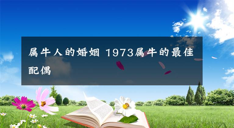 属牛人的婚姻 1973属牛的最佳配偶