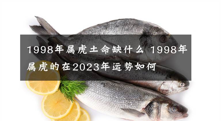 1998年属虎土命缺什么 1998年属虎的在2023年运势如何