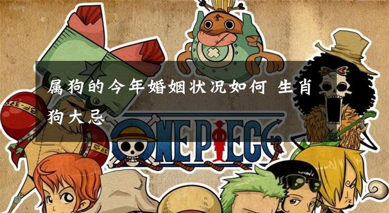 属狗的今年婚姻状况如何 生肖狗大忌