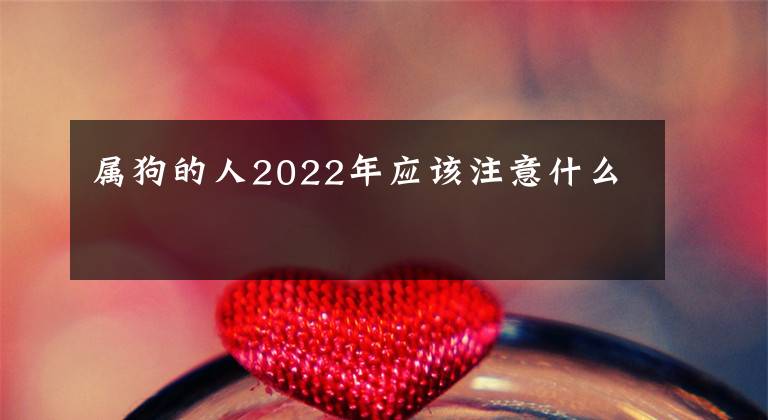 属狗的人2022年应该注意什么