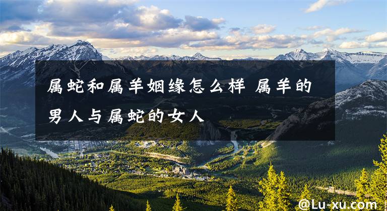 属蛇和属羊姻缘怎么样 属羊的男人与属蛇的女人