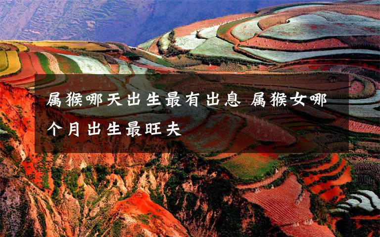 属猴哪天出生最有出息 属猴女哪个月出生最旺夫
