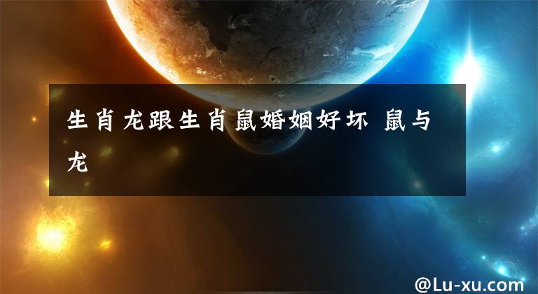 生肖龙跟生肖鼠婚姻好坏 鼠与龙
