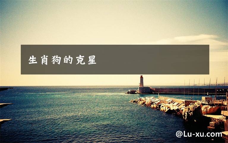 生肖狗的克星