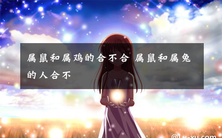 属鼠和属鸡的合不合 属鼠和属兔的人合不