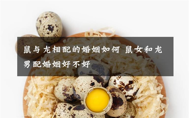 鼠与龙相配的婚姻如何 鼠女和龙男配婚姻好不好