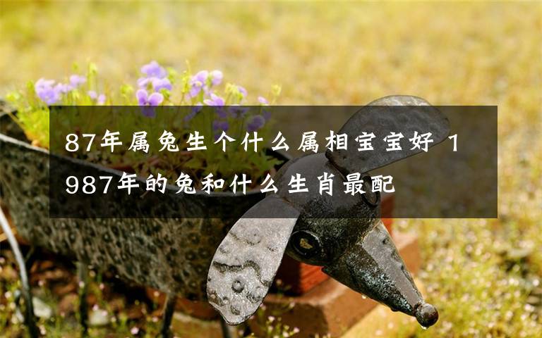 87年属兔生个什么属相宝宝好 1987年的兔和什么生肖最配