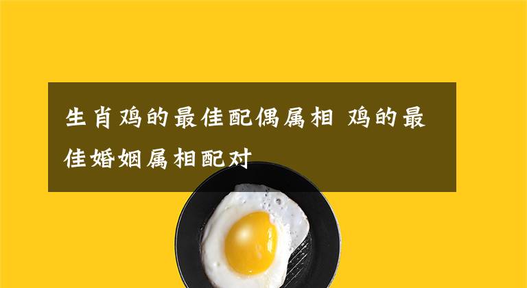 生肖鸡的最佳配偶属相 鸡的最佳婚姻属相配对