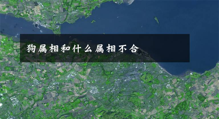 狗属相和什么属相不合