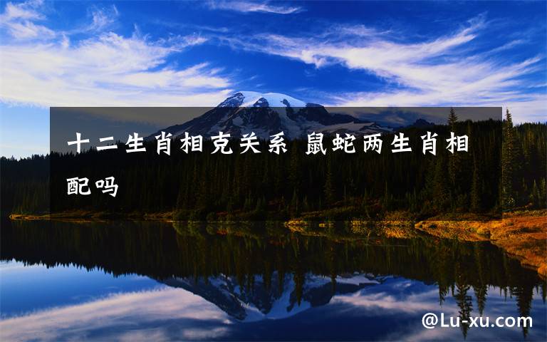 十二生肖相克关系 鼠蛇两生肖相配吗
