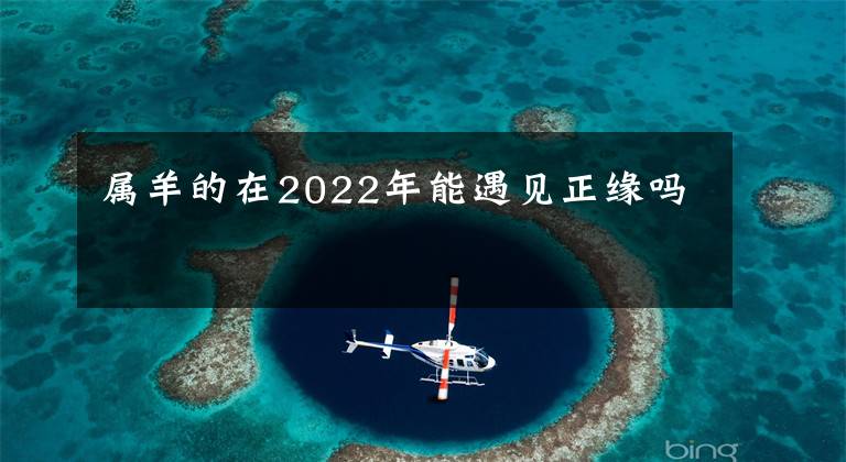 属羊的在2022年能遇见正缘吗