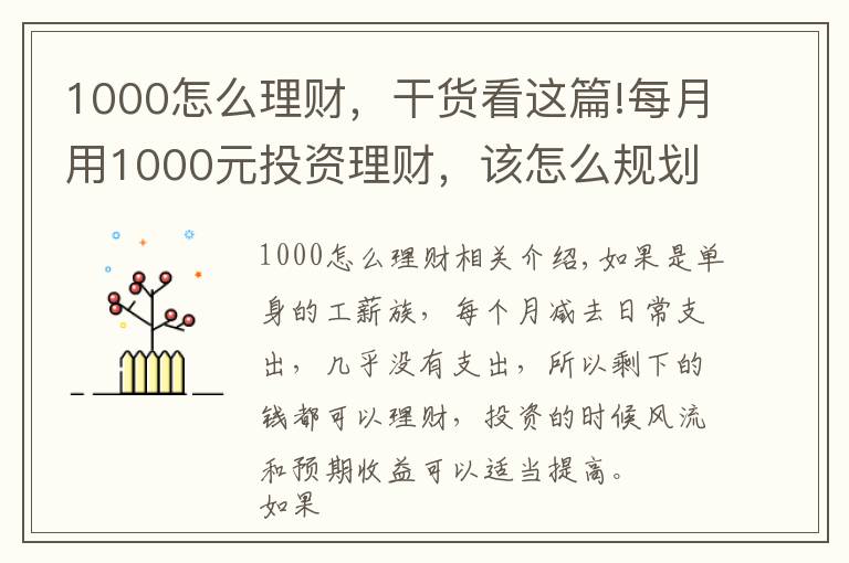 1000怎么理财，干货看这篇!每月用1000元投资理财，该怎么规划好？