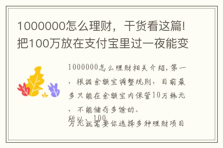 1000000怎么理财，干货看这篇!把100万放在支付宝里过一夜能变成多少？