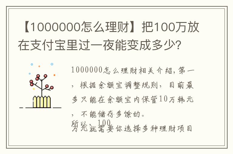 【1000000怎么理财】把100万放在支付宝里过一夜能变成多少？