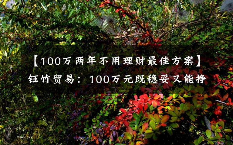 【100万两年不用理财最佳方案】钰竹贸易：100万元既稳妥又能挣到钱的理财方式有哪些？