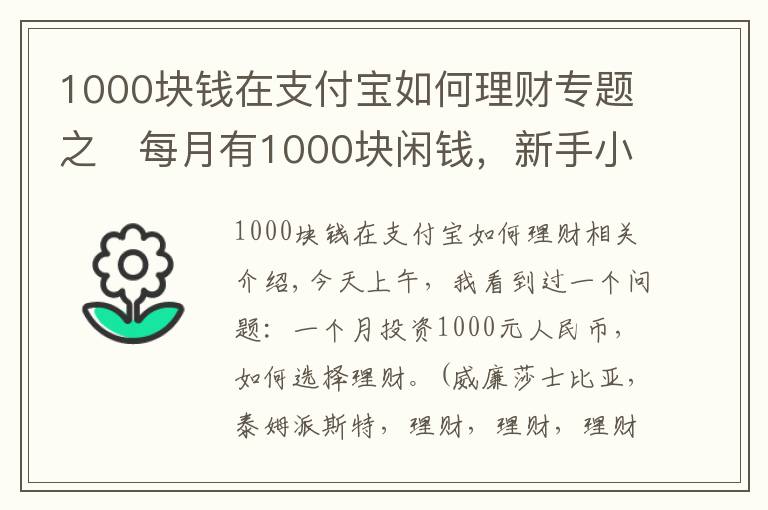 1000块钱在支付宝如何理财专题之​每月有1000块闲钱，新手小白如何理财？