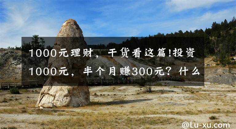 1000元理财，干货看这篇!投资1000元，半个月赚300元？什么神仙玩法