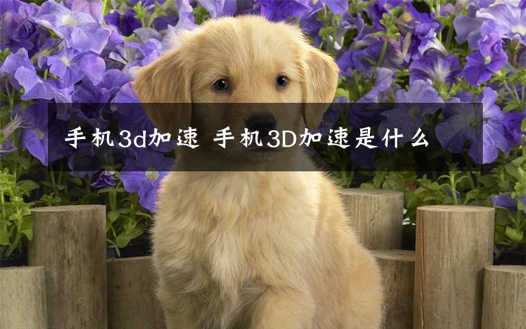 手机3d加速 手机3D加速是什么