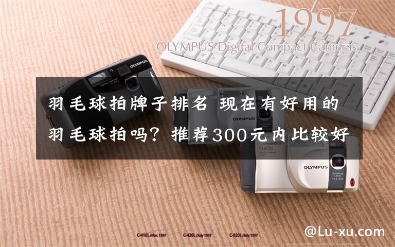 羽毛球拍牌子排名 现在有好用的羽毛球拍吗？推荐300元内比较好的羽毛球拍