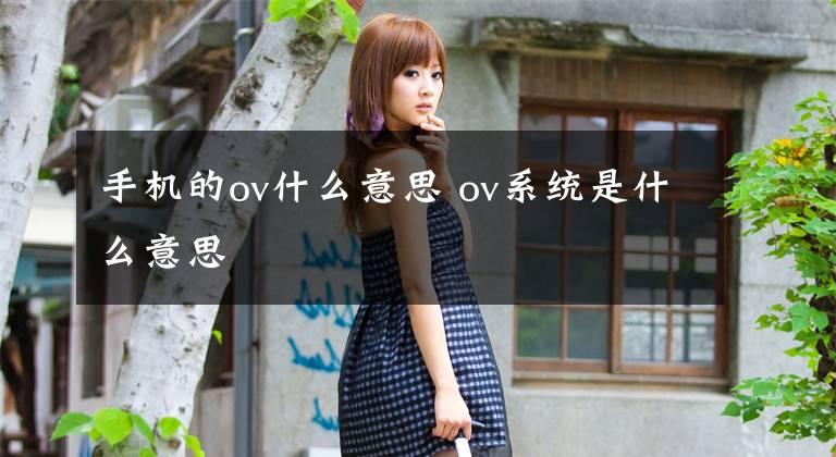 手机的ov什么意思 ov系统是什么意思