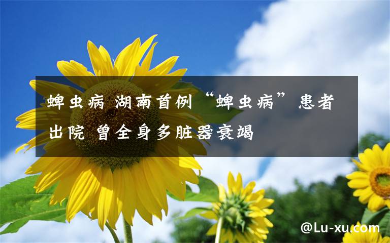 蜱虫病 湖南首例“蜱虫病”患者出院 曾全身多脏器衰竭