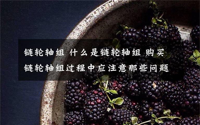 链轮轴组 什么是链轮轴组 购买链轮轴组过程中应注意那些问题【图文】