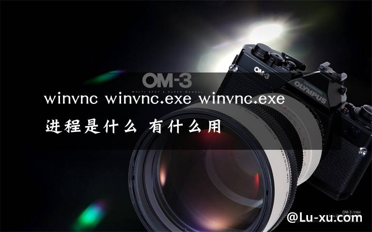 winvnc winvnc.exe winvnc.exe进程是什么 有什么用