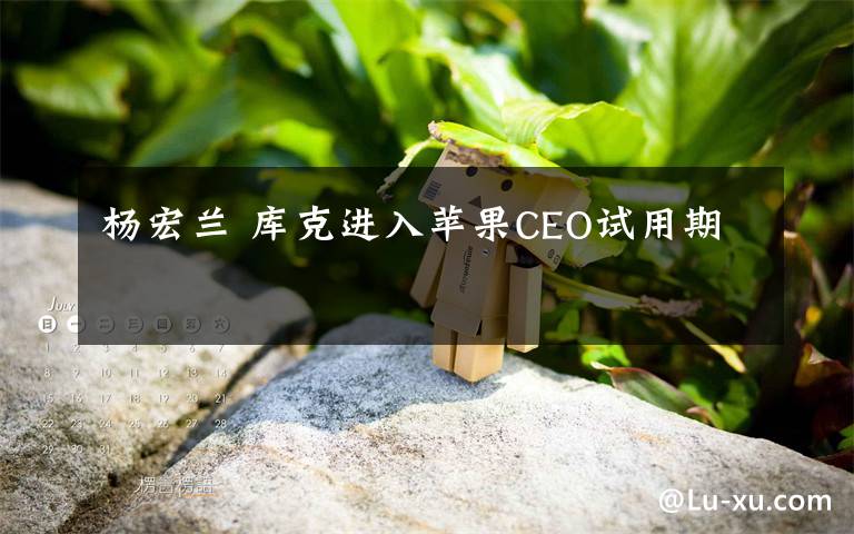 杨宏兰 库克进入苹果CEO试用期