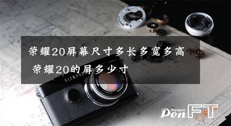 荣耀20屏幕尺寸多长多宽多高 荣耀20的屏多少寸