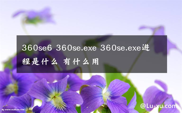 360se6 360se.exe 360se.exe进程是什么 有什么用