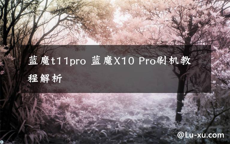 蓝魔t11pro 蓝魔X10 Pro刷机教程解析