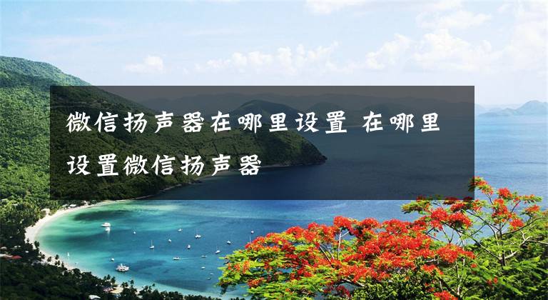 微信扬声器在哪里设置 在哪里设置微信扬声器