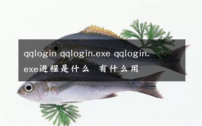 qqlogin qqlogin.exe qqlogin.exe进程是什么  有什么用