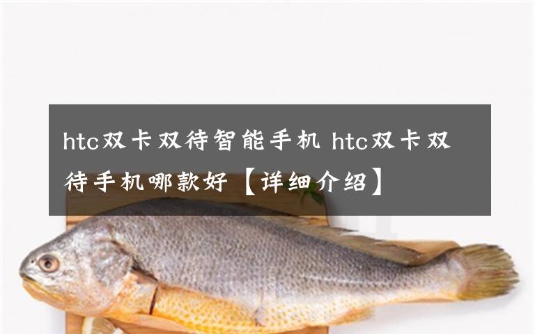 htc双卡双待智能手机 htc双卡双待手机哪款好【详细介绍】