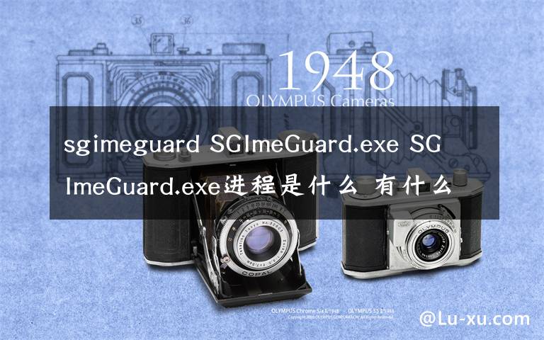 sgimeguard SGImeGuard.exe SGImeGuard.exe进程是什么 有什么用