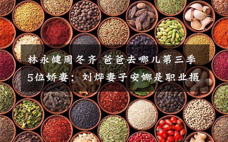 林永健周冬齐 爸爸去哪儿第三季5位娇妻：刘烨妻子安娜是职业摄影师