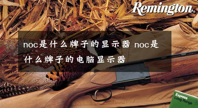 noc是什么牌子的显示器 noc是什么牌子的电脑显示器