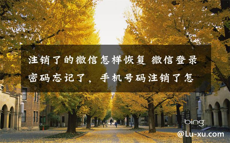 注销了的微信怎样恢复 微信登录密码忘记了，手机号码注销了怎么办?
