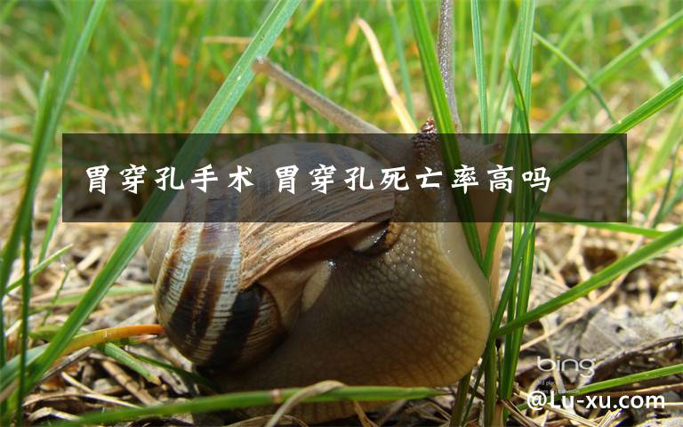 胃穿孔手术 胃穿孔死亡率高吗