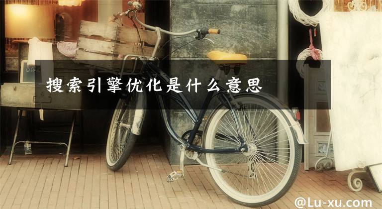 搜索引擎优化是什么意思